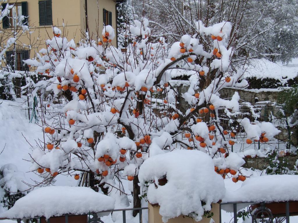 Villa Nobili B&B Bagno a Ripoli Cameră foto